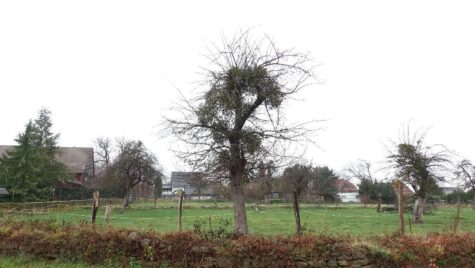 Baugrundstück in ruhiger Lage, 02625 Bautzen, Grundstück