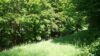 Charmanter Bungalow mit herrlicher Fernsicht – Rückzugsort inmitten der Natur - Umfeld/Zuwegung