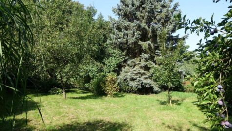 Wohnen im Herzen von Freiberg – umgeben von Natur, 09599 Freiberg, Wohngrundstück