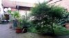 Top Preis! Zweifamilienhaus mit Gewerbe - Innenhof
