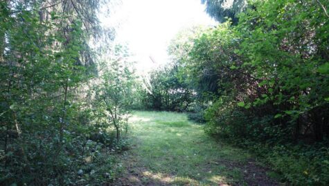 Wohnen in Freiberg – umgeben von Natur, 09599 Freiberg, Wohngrundstück