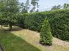Nah der Heimat, fern vom Alltag - Garten/Grundstück