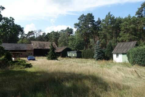 Baugrundstück am Waldrand – wenige Gehminuten zum Briesener See, 15913 Neu Zauche, Wohngrundstück