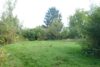 Ruhe und Natur vor den Toren Dresdens - Garten