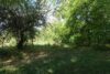 Ruhe und Natur vor den Toren Dresdens - Garten