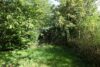 Ruhe und Natur vor den Toren Dresdens - Garten