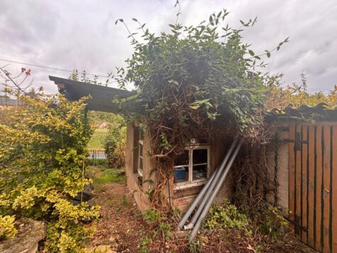 Gartenland sucht grünen Daumen – und jemanden, der sich vom ersten Blick nicht abschrecken lässt, 01665 Käbschütztal, Grundstück